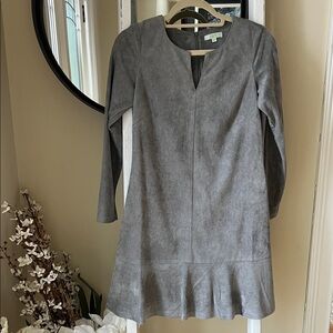 Jade Melody Tam Gray Long Sleeve Suede Dress.  Size XS